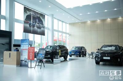 嘉誠(chéng)汽車王敦海 中國(guó)豪華車市場(chǎng)，一定有WEY一席之地